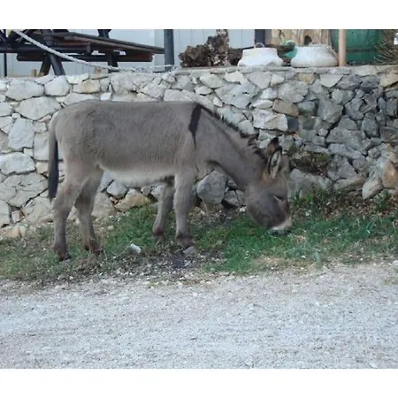 Mare With Great Sea View Holiday home Ravni